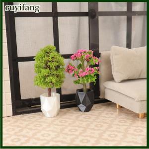 ruyifang บ้านตุ๊กตาจำลองพืชในกระถางแบบ1 12บ้านตุ๊กตาขนาดเล็กของตกแต่งบ้านตุ๊กตาสวนขนาดจิ๋วเครื่องประดับภูมิทัศน์