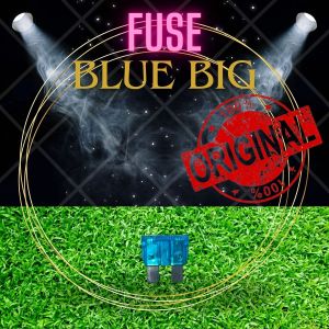 ORIGINAL MOTORCYCLE FUSE BLUE BIG
