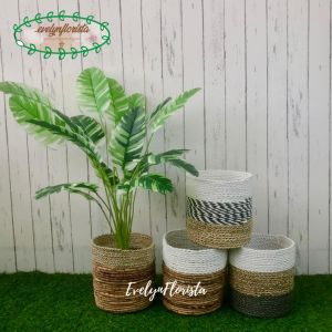 Pohon Plastik Musa Florida X18 Semi Latex Artificial Pot Dasar Cover Seagrass Pajangan Rumah Aesthetic Dekorasi Ruang Tamu