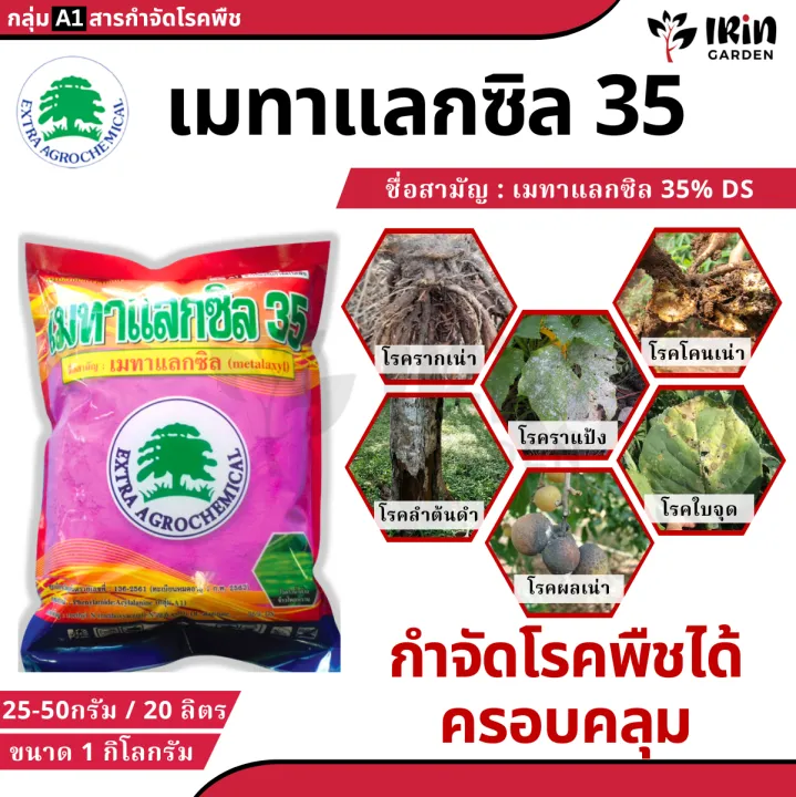 เมทาแลกซิล 35% DS ยาเชื้อราป้องกันโรคพืช