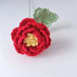 REGISTR Handmade Crochet Peony Bouquet Wool Gradient Color Hand-woven Peony Exquisite Woven Flowere Artificial Flower Mothers Day