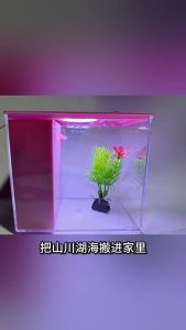 Aikenn Desktop Fish Tank Transparent Ultra Mini Ecological Aquarium Filter LED Light Living Room Office Akuarium Kecil