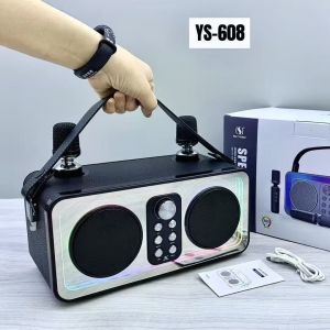 Portable Bluetooth speaker with mic fit for outdoor Family party with 3D stereo and colorful LED dance lights