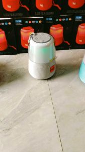 TG-168 LED Flashing Light Bluetooth Speaker