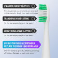 KIMP Teeth Cleaner Tartar Ultrasonic Tooth Cleaner Machine Teeth Whitening and Tartar Remover Dental Scaler for Teeth Usb Electric Tooth Brush Electric Ultrasonic Toothbrushes for Adult. 