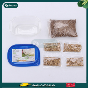 หญ้าเเมว หญ้าแมว หญ้าแมว ต้นอ่อนข้าวสาลี ข้าวสาลี ขนมแมว ข้าวสาลีแมว ต้นข้าวสาลีแมว อุดมด้วยใยอาหาร ช่วยย่อยอาหาร กำจัดก้อนขน