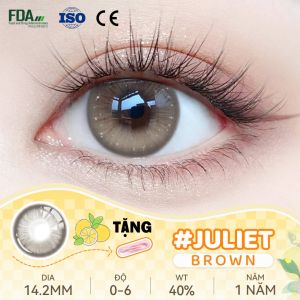 Kính Áp Tròng Midroo 0~6 Độ (2 chiếc) Mắt 14.2mm Juliet Giãn Tròng 6 Months
