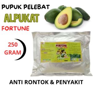 Pupuk booster alpukat | pupuk alpukat anti rontok | booster alpukat