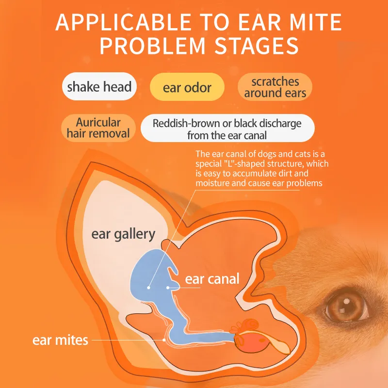 Discharge Smelly Ear Wax Dog Ear Discharge Labrador Smelly Ears