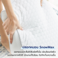 Chowa (โชวา) หมอนพิงหลังสลบเหมือด หมอนแก้ปวดหลัง หมอนข้างใบยักษ์จากเกาหลี. 