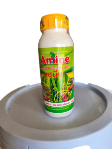 KÍCH THÍCH RA BÔNG ĐỒNG LOẠT-AMINE ( THÁI LAN )