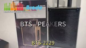BTS-2229 Rechargeable Amplifier Speaker 12“ 40W InWood  Trolley Bluetooth Speaker With Wireless Mic BTS KTS