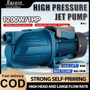 1200W Peripheral Water Ppump 1HP Self-Priming Water Pump Heavy-Duty Water Pump Peripheral Jet Booster Pump