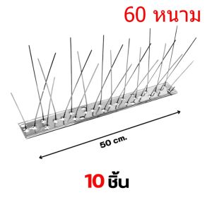 หนามกันนก​ หนามไล่นก​ ​​กิ่งสแตนเลส​ [10 ชุด-COD] อุปกรณ์กันนก รุ่น 50cm 48ขา plus+ ป้องกันนก สแตนเลส 304 ที่ดักนก กันนกพิราบ Bird Spikes กันนกเกาะ อุปกรณ์ไล่นกทำรัง ทนทาน สำหรับ บ้าน คอนโด อาคาร