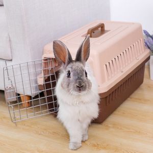 [Hoàn tiền 10%] 🐈 Lồng Vận Chuyển Thú Cưng tiêu chuẩn Hàng Không - Lồng du lịch cho Chó Mèo 🐈