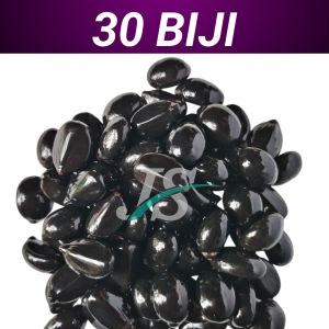Biji Aren Tua Lokal  (ISI 100 BONUS 10 BIJI) Biji Kawung / Kolang Kaleng / Bibit Benih Pohon Arena