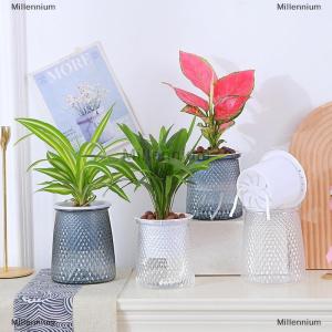 [COD] Millennium Double-layer Self Watering Plant Pot Transparent Plastic Flower Vase Automatic Lazy Potted Flower Pot Hydroponic Flowerpot Decor
