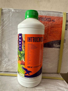 INTROCHICK ORAL (Vitamin tổng hợp nhập khẩu Hà Lan)