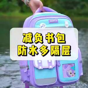 SG stock】 Ergonomic DR school bag backpack p1-p6 secondary laptop bag primary school children present