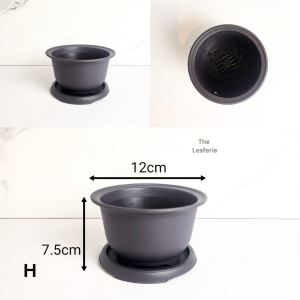 The Leaferie Bonsai rectangular square pots plastic imitation flowerpot flowerpots flower pot planter planters with tray