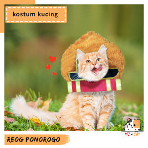 Baju Kostum Kucing Lucu Reog Ponorogo warna oren murah terlaris kekinian mi-cat 2023 - promo baju aksesoris kucing karakter gemoy anabul oyen putih sedang besar jantan betina laki laki anak anak gratis ongkir 1 set viral 2 3 6 bulan 1 tahun