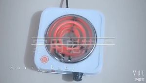 Electric Stove Hot Plate Coffee Heater Burner Mini Portable Cooking Plate 500W 220V Temperature Control