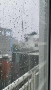 Áo Mưa Bít Nam Nữ LADICARE Vải Da Cá Chống Thấm Tốt Bền Đẹp Đeo Balo Thoải Mái [ LOẠI TỐT]