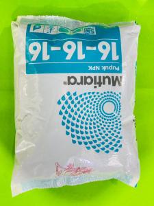 Pupuk NPK MUTIARA 16-16-16 biru dari meroke terbaikkk!!