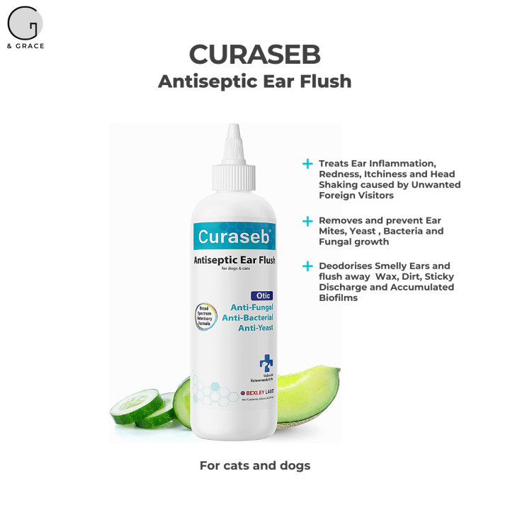 CURASEB Antiseptic Ear Flush Effective Treatment for Ear Infection