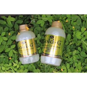 Obat Herbal Asam Urat Kolesterol Nyeri Sendi Rematik Radang Persendian Paling Ampuh Resep Dokter di Apotik