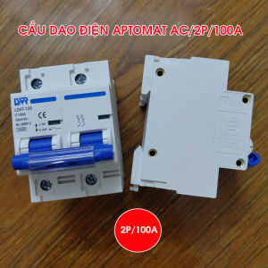 Bộ cầu dao điện tự động APTOMAT MCB 2P 100A 10kA LWR cb ac chống quá tải ngắn mạch