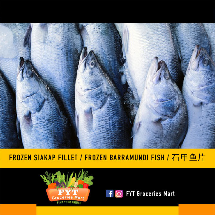 Fyt Groceries Seafood Frozen Siakap Fillet Frozen Barramundi Fish