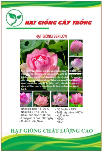 Hạt giống hoa sen lớn ( sen ta ) mix màu CT52 - Gói 15 hạt