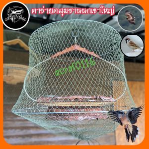 ตาข่ายคลุมชานนกเขาใหญ่ต่อดินงานสวยๆ
