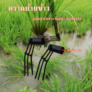 อุปกรณ์เกษตร เหล็กซ่อมข้าวเหล็กย้ายข้าวราคาถูก ขนาดด้าม 6 หุนเสริมเหล็กยึดหลัง