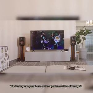 HiVi SWAN D300 Powered Bookshelf Speakers Bluetooth5.0 HD 6.5Inch Woofer Optical Input HiFi Monitor