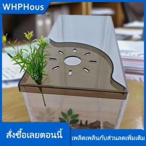 WHPHous ชั้นวางตู้ปลาแบบไม่ต้องเจาะรูสำหรับวางตู้ปลาที่วางแนวนอนถาดปลูกพืชสีเขียวไฮโดรโปนิกส์