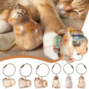 Pet Hair Memorial Keychain Transparent Resin Keepsake Capsule for DIY Pet Gift for Cat Dog Lovers Portable Pet Hair Storage Pendant