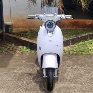 Sepeda Listrik Luna Plus