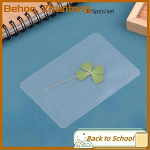 Behoo 1 5 10Pcs Lucky Clover Postcards Natural Grass Transparent Wishing Cards For Bookmarks