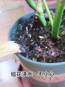 Easy To Use Pipette Flower Pots Tray Water Absorber High Quality Large Pipette for Accurate Liquid Measurement