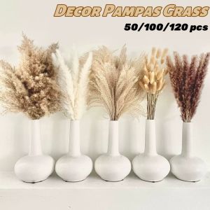 Natural Reed Dried Flowers DIY Handmade Wedding Flowers Decorated Pampas Grass Reeds Home Decor