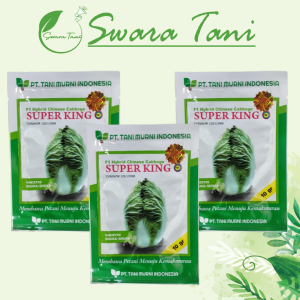 Benih sawi putih SUPER KING F1 10 gram chinese cabbage hibrida superking tani murni