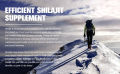 Alliwise Shilajit Gummies 600mg Shilajit Pure Himalayan Original With Ashwagandha & High in Trace Minerals & Fulvic Acid for Energy, Strength & Immunity. 