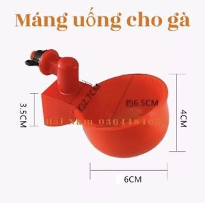 máng uống nước tự động cho gà 1 cái