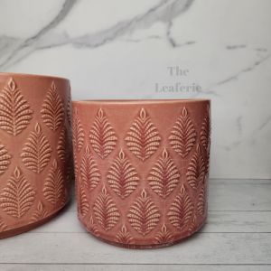 The Leaferie Liana plant pots. flowerpot . flowerpots . flower pot . planter . planters . Ceramic . Plants