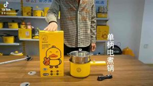 nồi lẩu đa năng con vịt mini kèm xửng hấp inox304