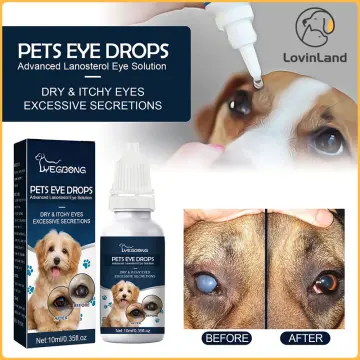 Shop Pink Eye For Dog online Oct 2024 Lazada .my