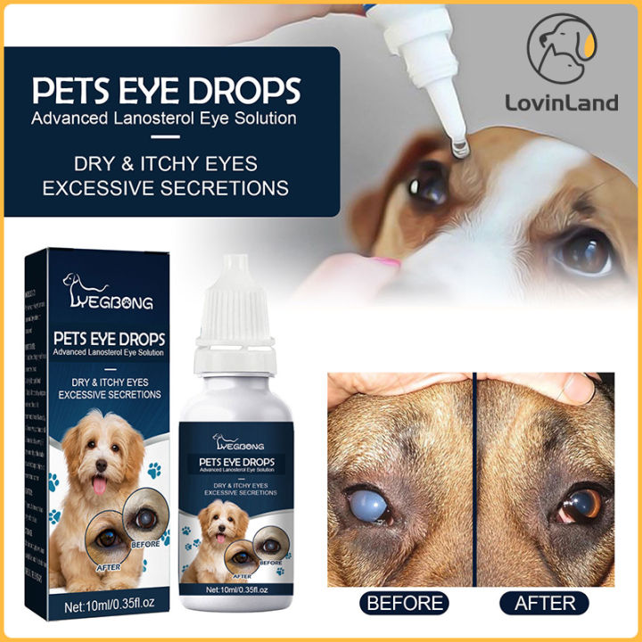 Bacterial Conjunctivitis Dog Pink Eye Treatment Bacterial