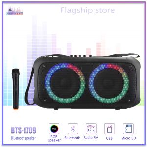 Audiobop Rechargeable Dual 6.5" Portable karaoke FM Bluetooth Speaker Heavy Bass Sound with wireless Mic 3602